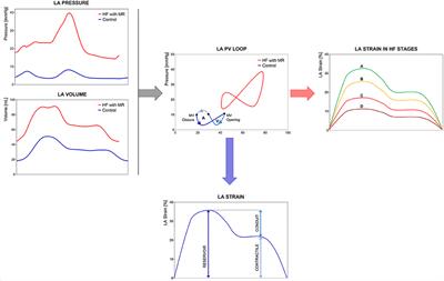 Frontiers | Cardiac Imaging For The Assessment Of Left Atrial Mechanics ...